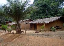 <p> Houses in Mengoeng. </p>